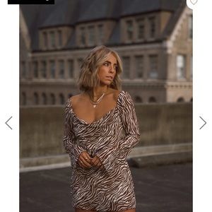 Kenya Brown Zebra Mini Dress